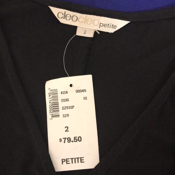 NWT Black Cleo Dress; Partial Side Ruching with Beading & Embroidery Detail; 2P - Picture 8 of 16